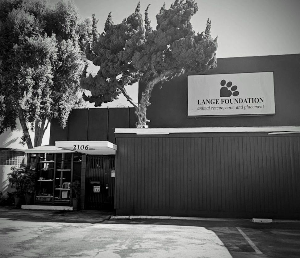 Black and white photo of Lange Foundation animal rescue building with trees.