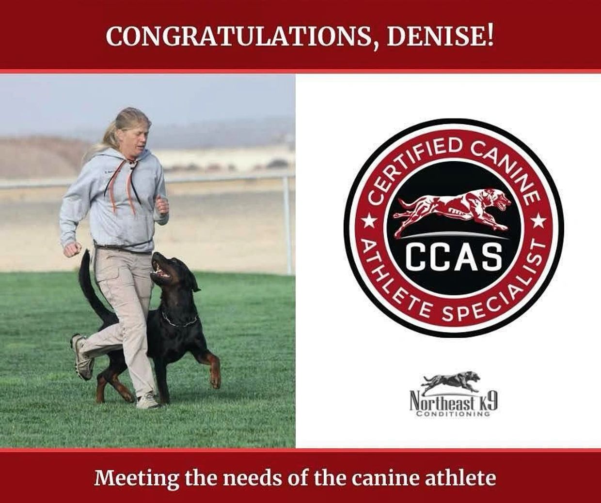 Denise and Abe competing for their IPO1 at the Rottweiler IGP Nationals. Celebrating becoming a CCASd
