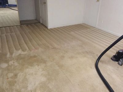 Residential carpet cleaning using the newest innovations