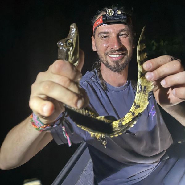 Guy holding baby alligator 