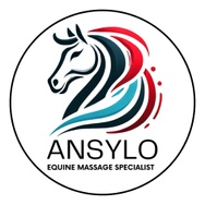 Ansylo Equine Massage