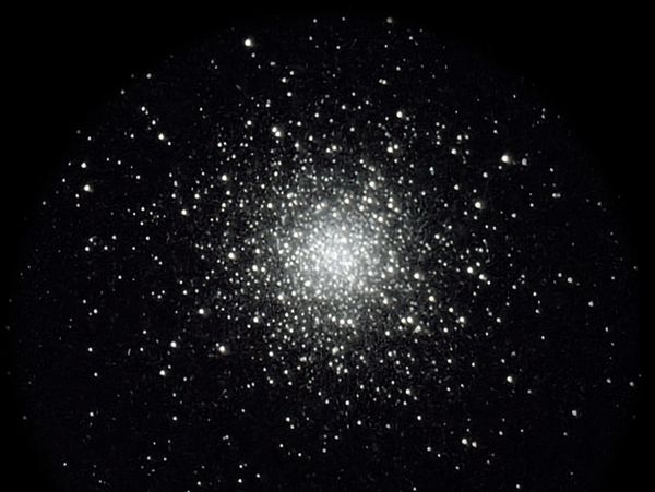 A dense cluster of bright stars against a dark night sky.