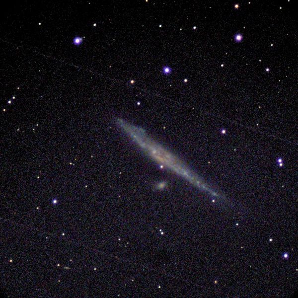 Whale Galaxy