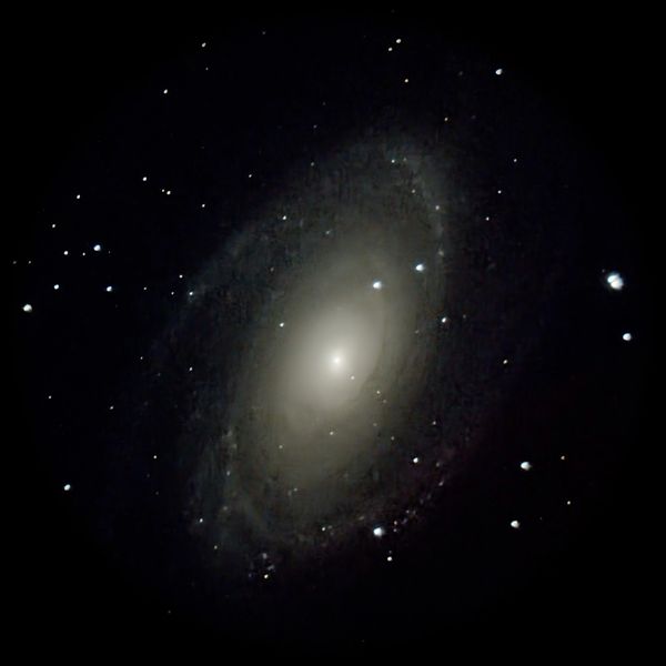 Bode's galaxy - Messier 81 as seen through our telescope