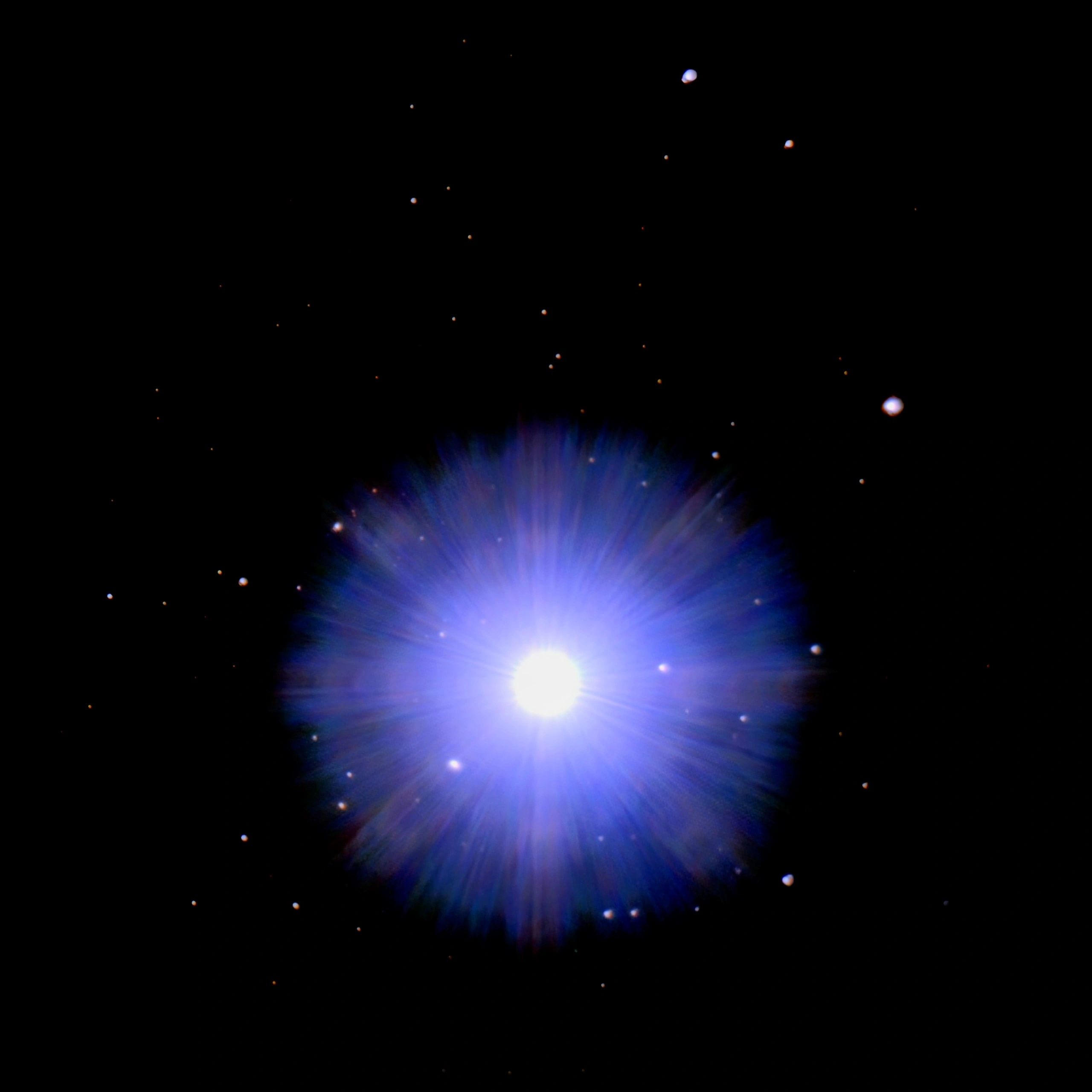 Vega 