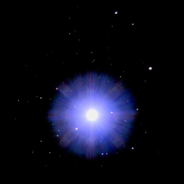 Vega 