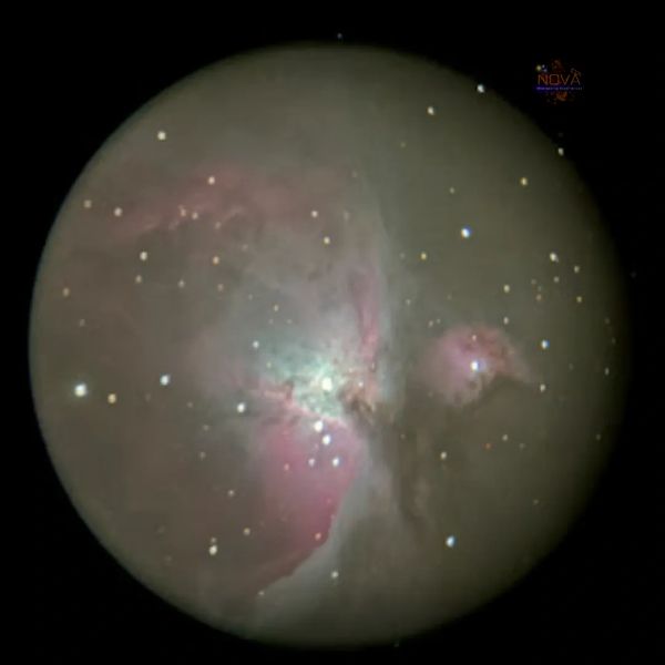 Orion nebula taken with a Google pixel 09 pro attached to a Celestron 11SCT telescope