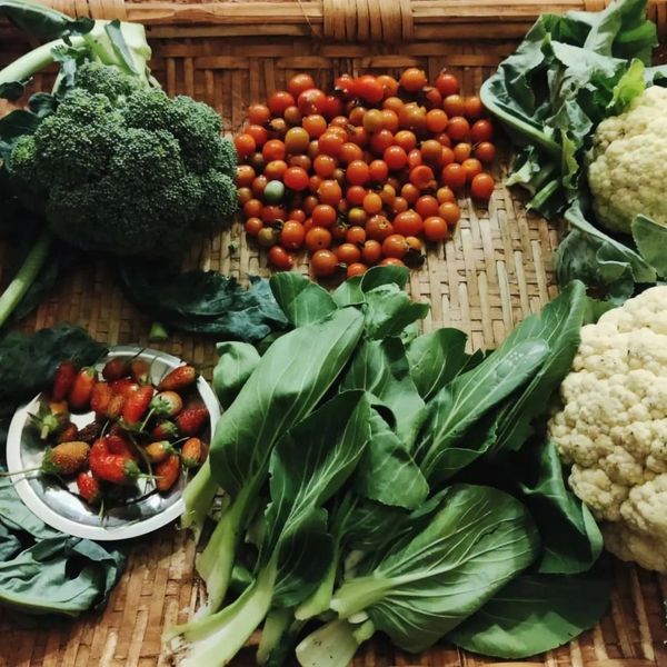 Fresh organic vegetables grown at Mountain Villa’s eco-friendly farm in Vagamon.