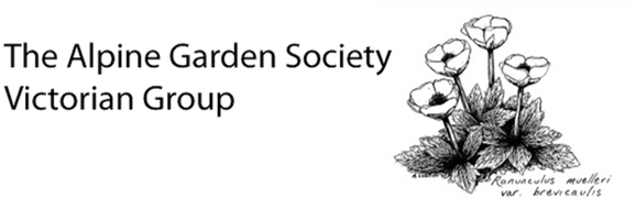 Alpine Garden Society Victorian Group