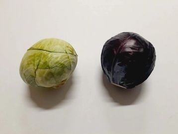 Two cabbages, one green and one purple, on a white surface.