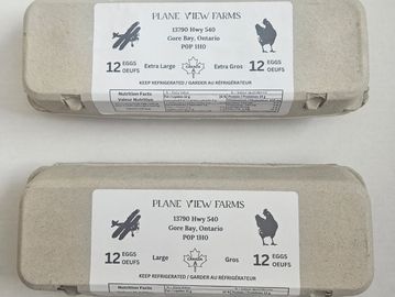 Two cartons of eggs from Plane View Farms, Gore Bay, Ontario, labeled extra large and large.
