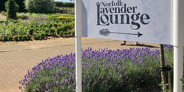 Delicious home-made sandwiches, cakes and hot meal are served here every day.  Breakfast menu from 1