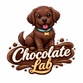 Chocolate Labradors for sale