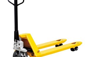 Pallet truck