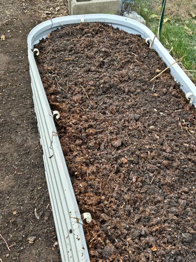 galvanized steel raised bed ready for planting