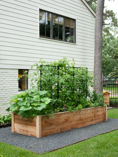 Cedar raised bed garden with gravel border in a side yard location