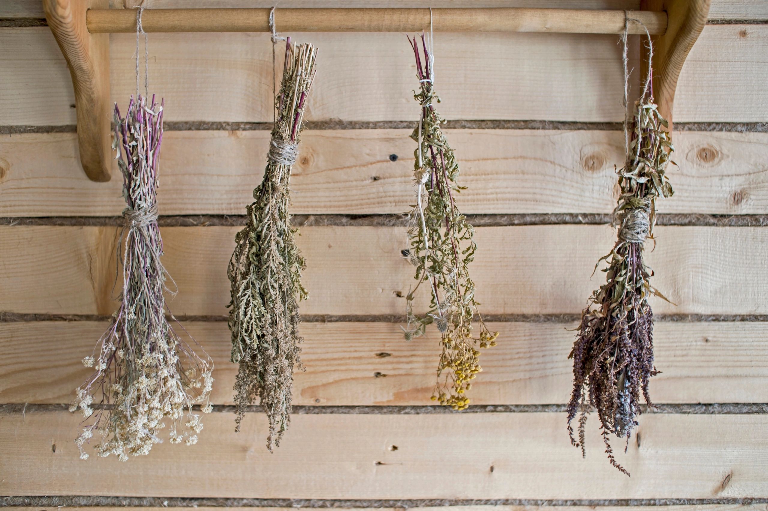 Купить Вышивку Сухие Травы