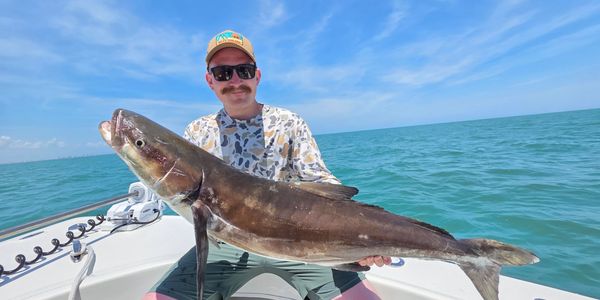 Happy client spring run on cobia fishing during April its the best here in Daytona Beach