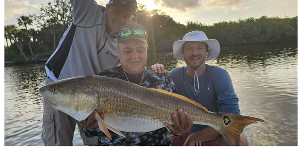 Clients on a fall mullet run catching big redfish in the passes here in Daytona Beach