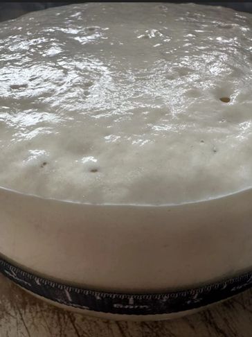 Bubbly sourdough starter.