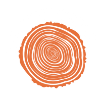 West Dorset Logs 2