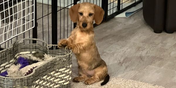 Carley arrived the last weekend of September, please stay tune for a formal introduction