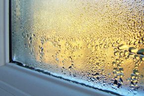 Home Inspector window condensation