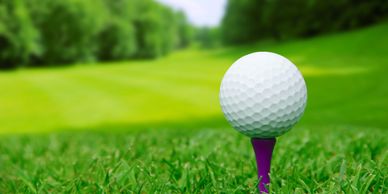 Intelligent Data Charity golf tournament