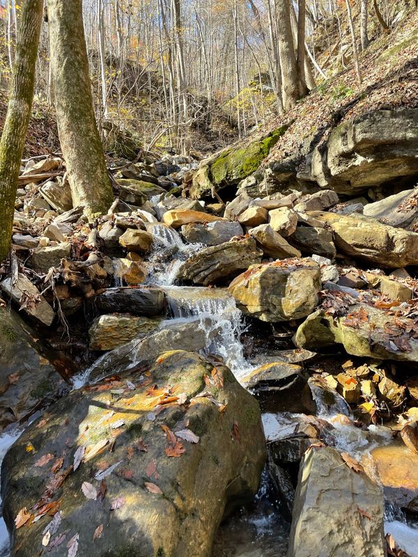  Property Line Creek at  Sasquatch Farm RV PARK. South Pittsburg , TN