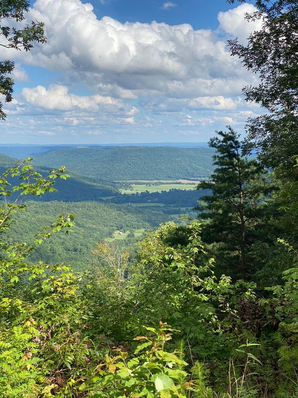  Orme Bluff View where you can see Tennessee, Georgia and Alabama