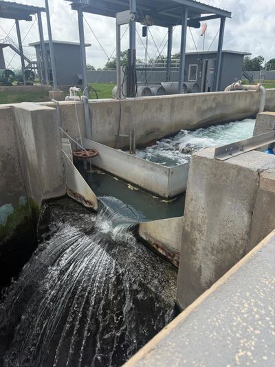 Water flowing through a concrete water control structure.