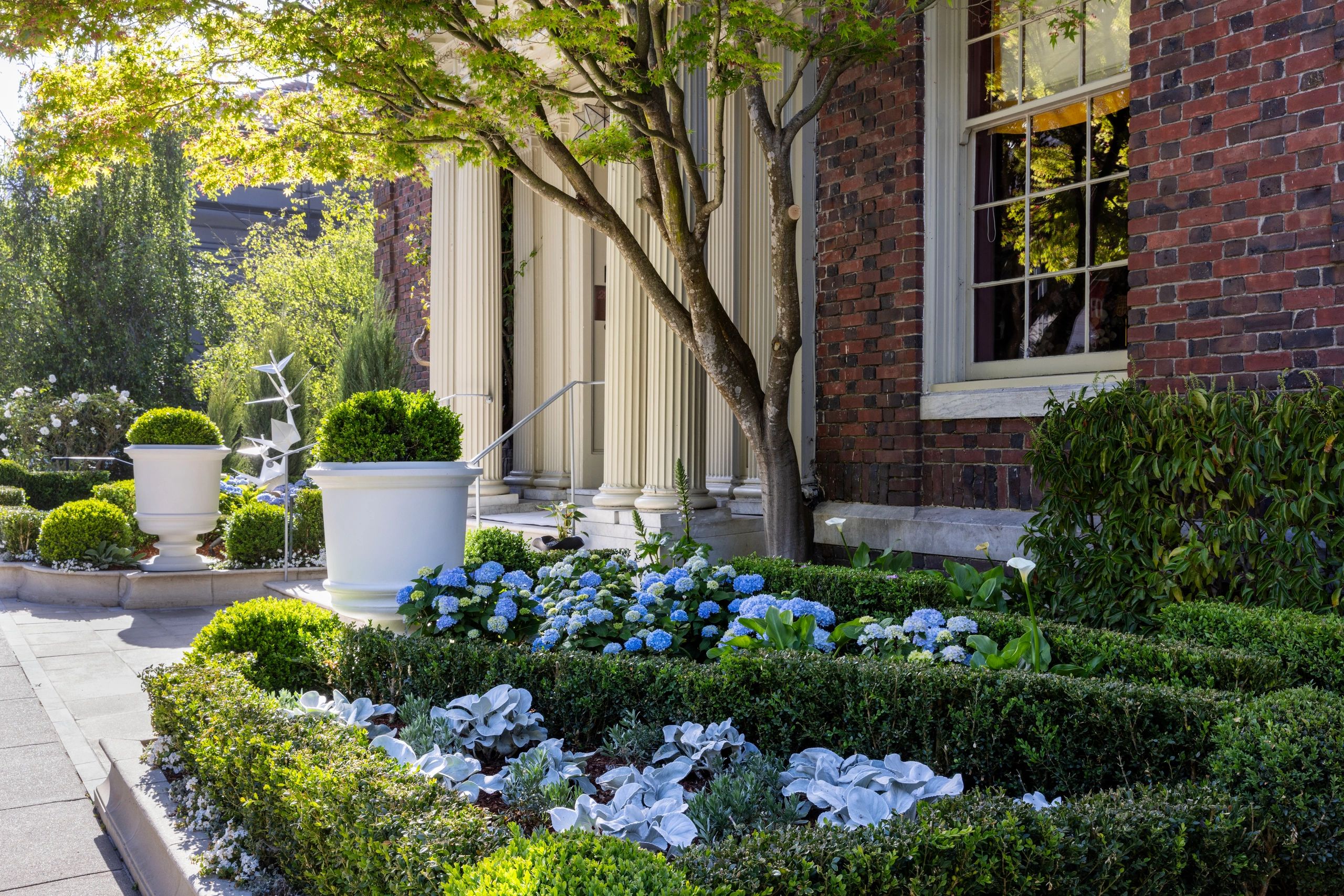 Elegant garden with blue hydrangeas and large white planters.