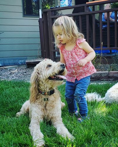 A little girl petting a happy dog outdoors.