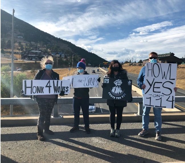 How Volunteers Organized Their Own Sign Waving and March