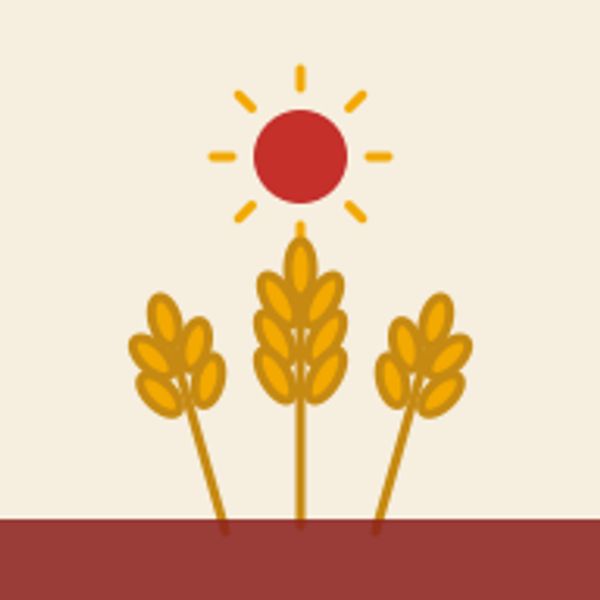 Stylized illustration of three golden wheat stalks under a red sun.