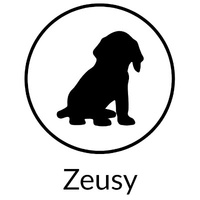 Zeusy Unlimited
