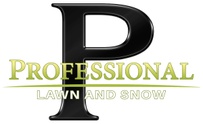 professionallawnandsnow.com
