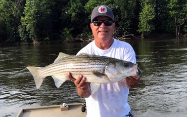 Striped Bass caught with a Barefoot Jig