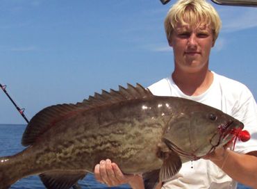 Grouper on a Barefoot Decoy Jig