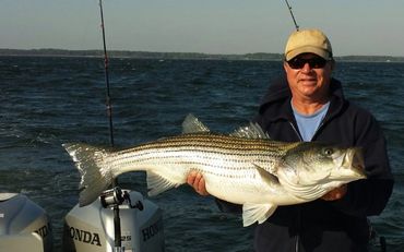 Striped Bass caught with a Barefoot Jig