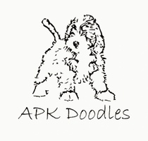 APK Doodles