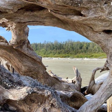 View of a river and forest through a natural driftwood frame.