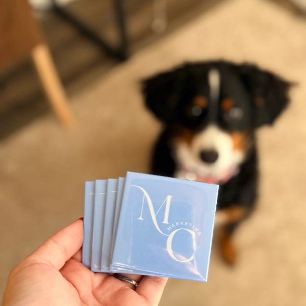 Hand holding marketing cards with a dog in the background.