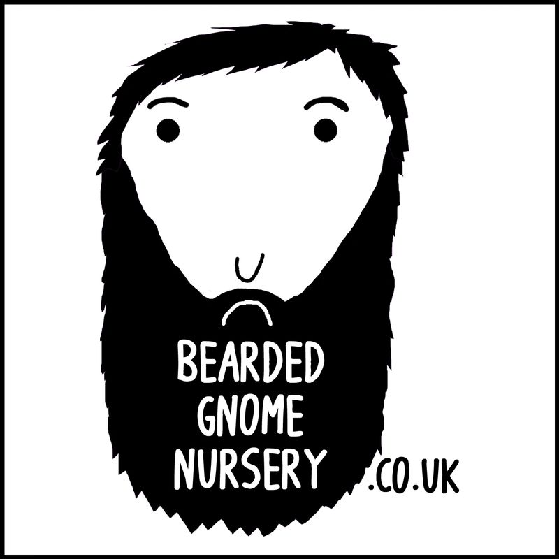 Bearded Gnome Nursery's Logo