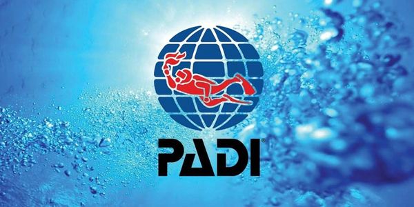 Buzo recibiendo su certificación PADI Open Water Diver de BuceoMex en CDMX. El nuevo buzo sonríe con