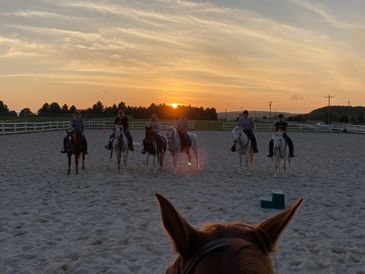 group horse lessons horse training outdoor arena