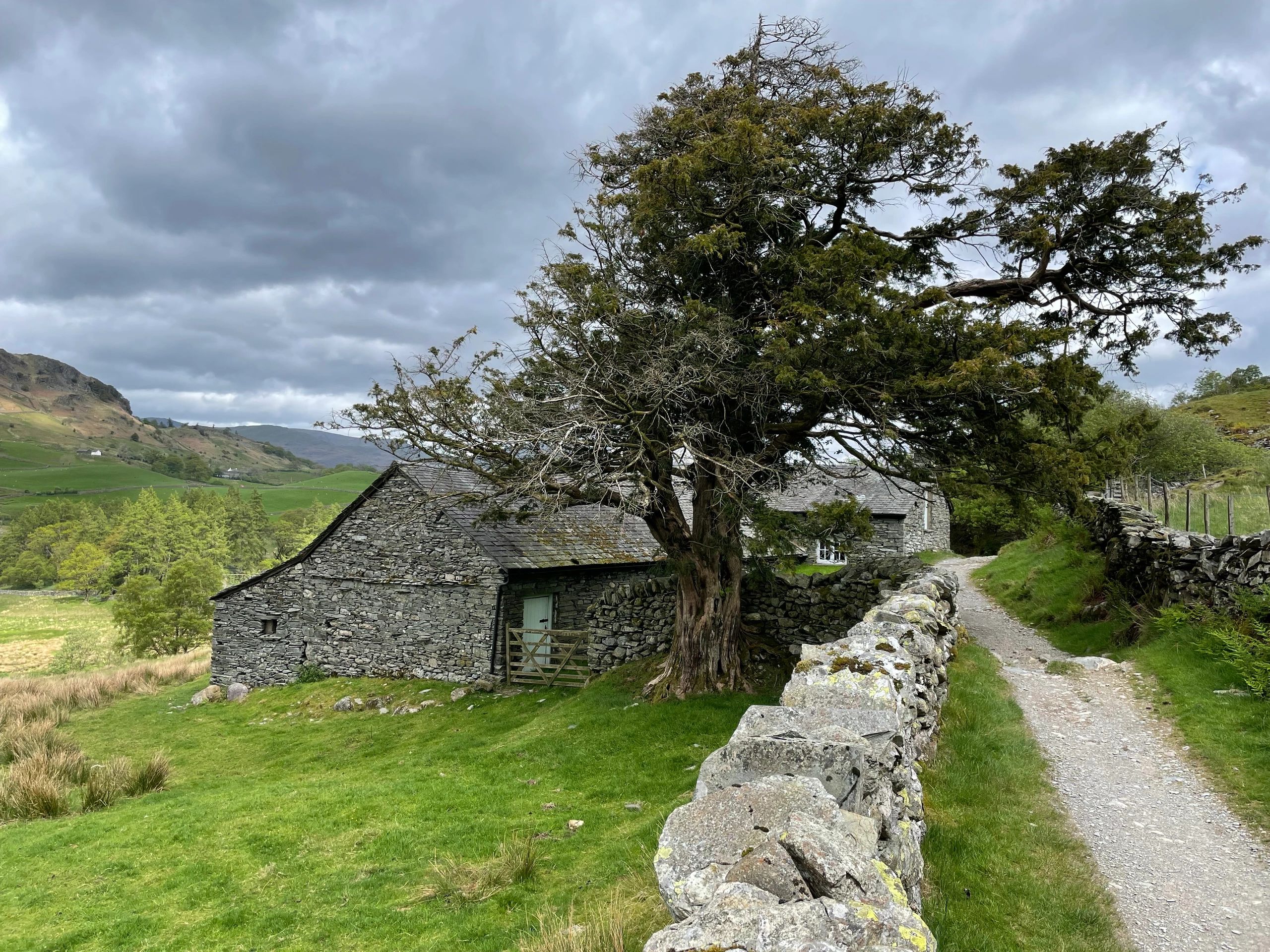 A stone cottage with a large tree and a stone fence under a cloudy sky.