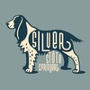 Silver State Springers