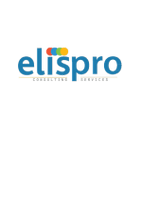 Elispro Consulting Services