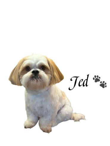 Oh Jed! Coolest little fella on the block